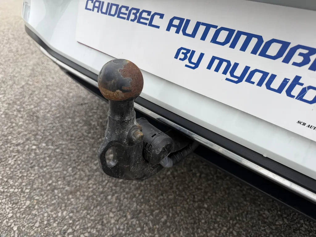 Volkswagen Golf 8 d'occasion à La Frénaye : Berline TDI 150 DSG7 disponible chez Caudebec Automobiles près du Havre