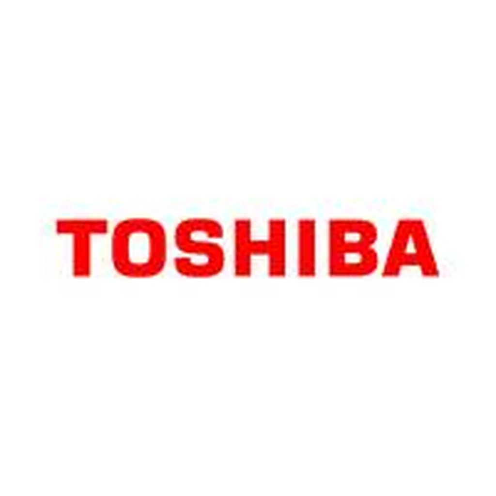 Fournisseurs d'appareils de chauffage pour les professionnel et les particuliers Toulouse Toshiba