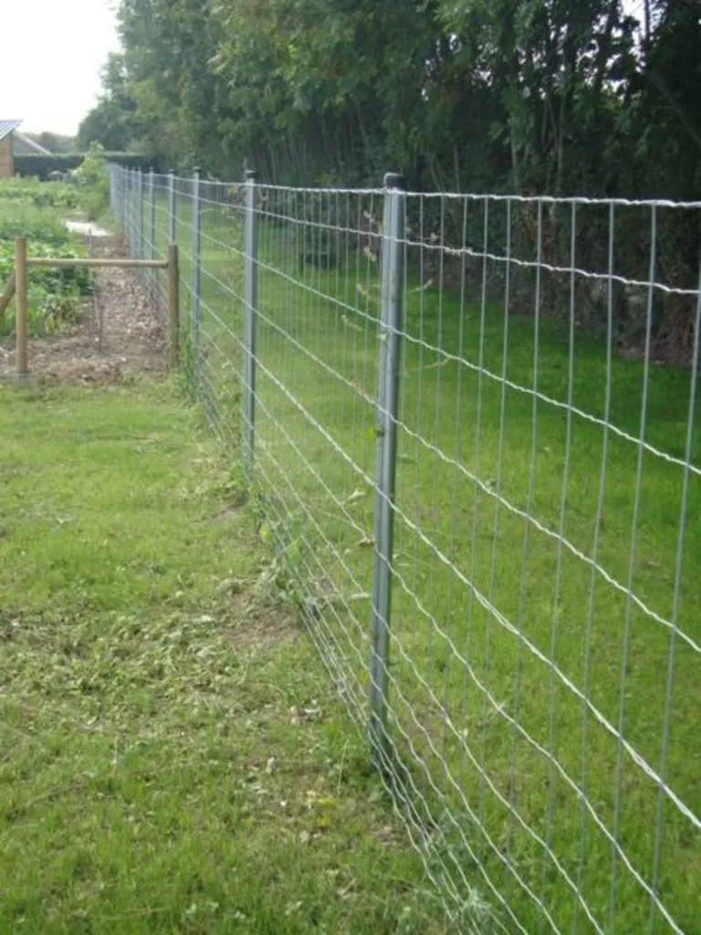 Protection d'un jardin contre les intrusions de sangliers à Bernay dans l'Eure 27