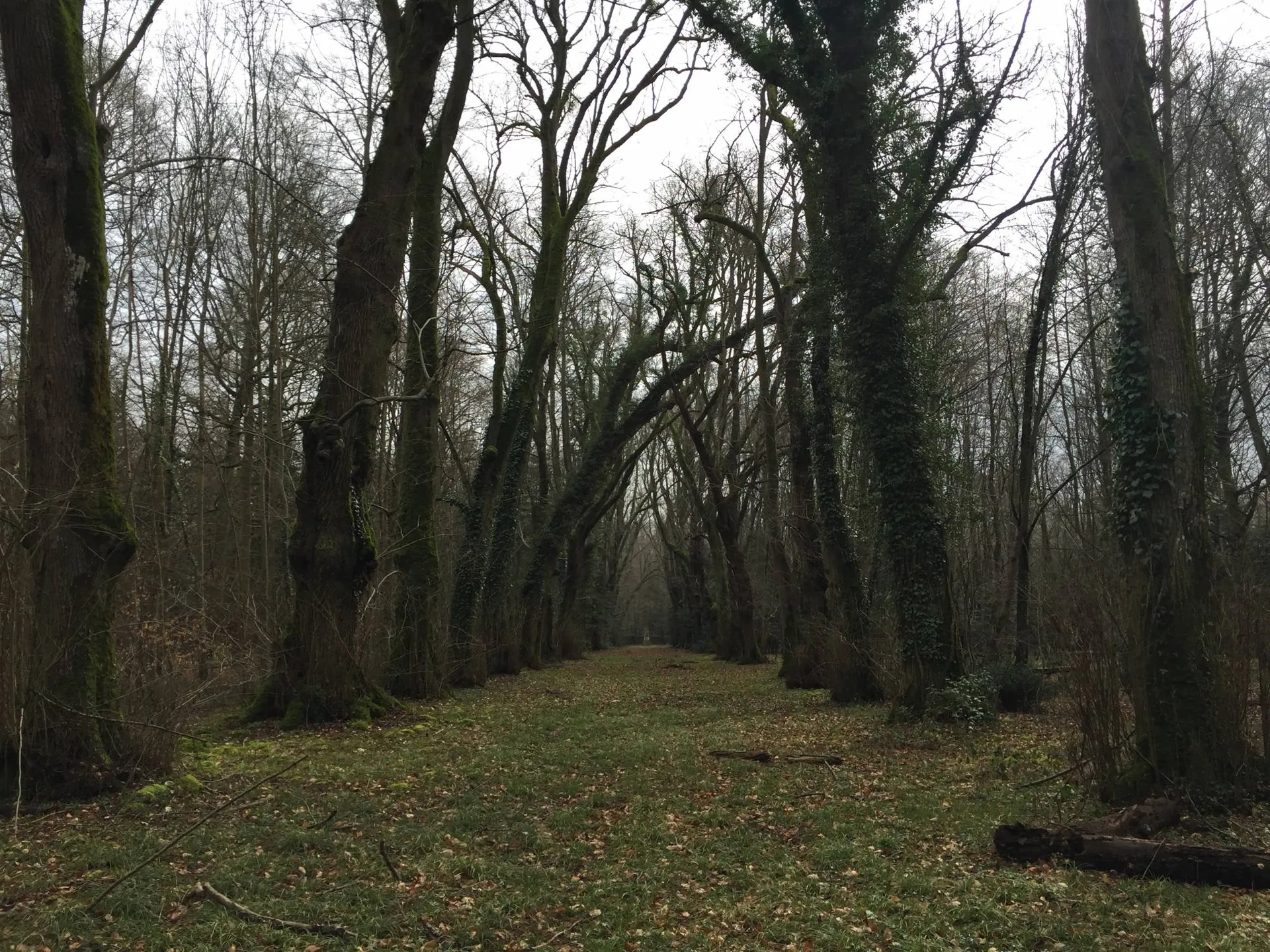 ACHAT PROPRIETE DE CHASSE A VENDRE EN NORMANDIE