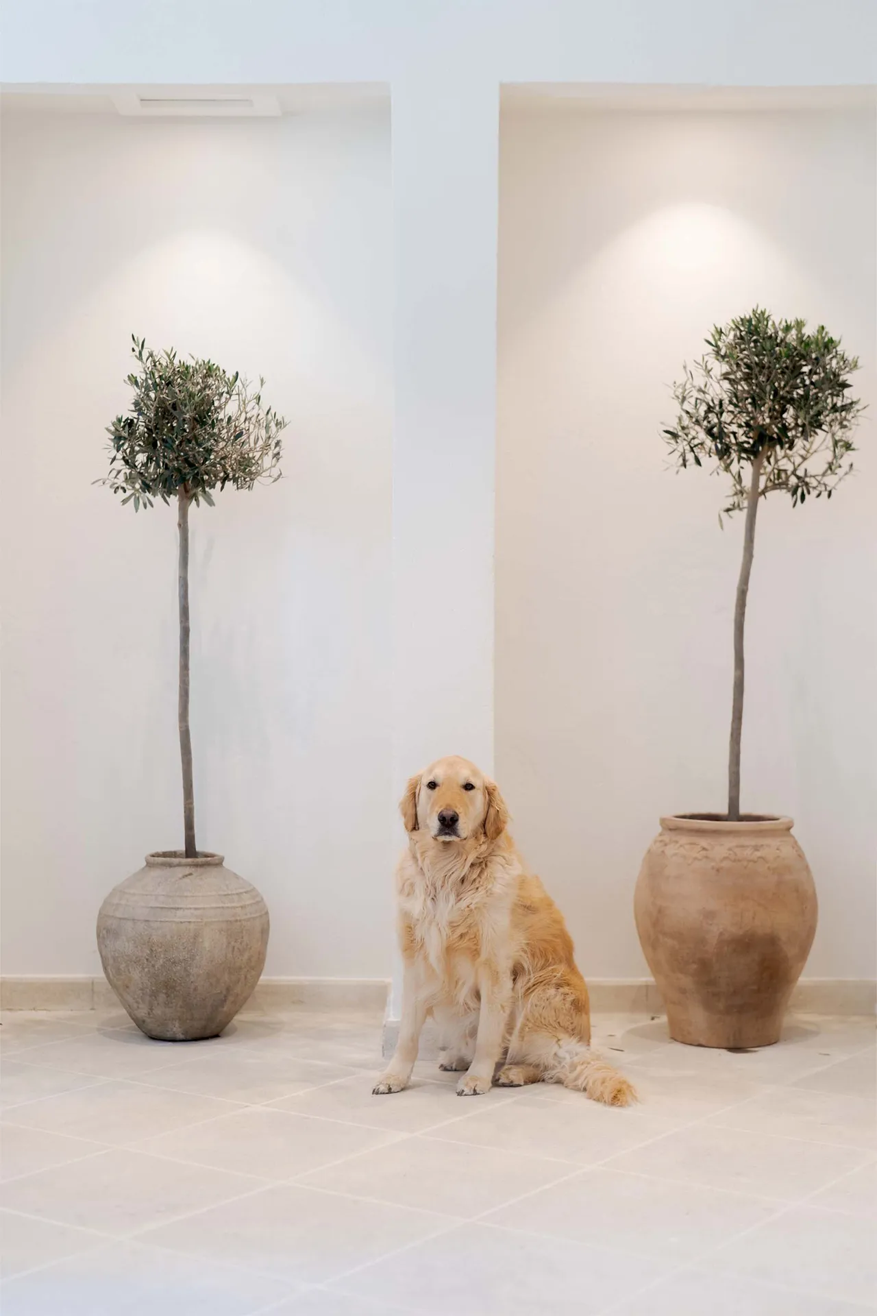 Lieu de tournage avec accès hélicoptère chateau luberon vers Gordes, Lourmarin, Roussillon, Apt, Aix, Pertuis