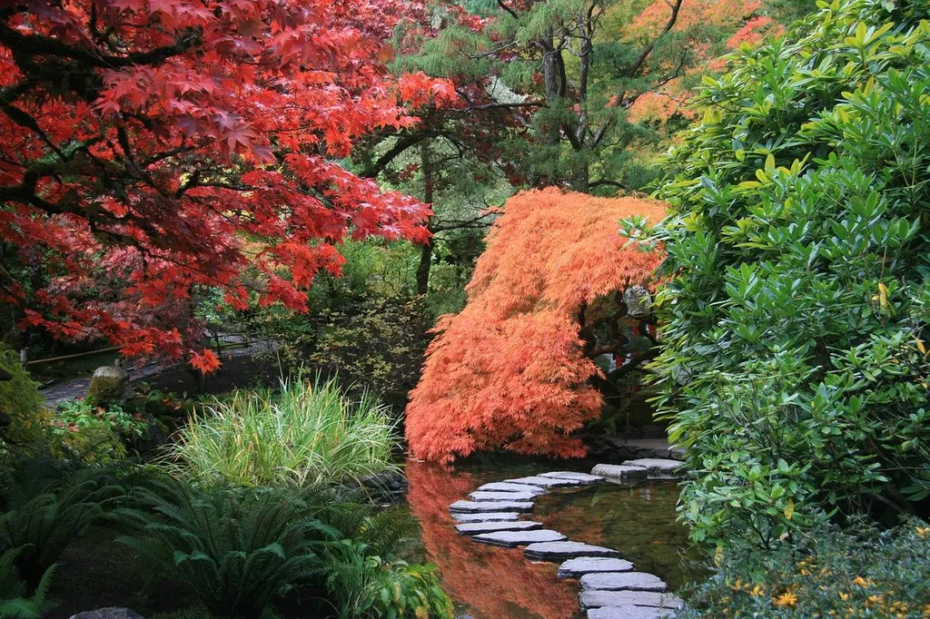 Création de Jardin Japonais Zen en extérieur par un jardinier paysagiste à Roanne