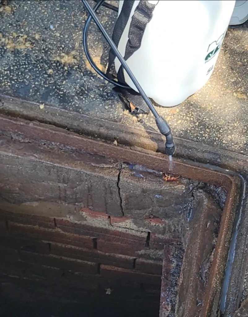 Traitement chimique contre les cafards et blattes germaniques dans les conduits et regards d’égouts à Valence dans la Drôme