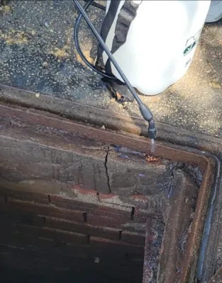 Traitement chimique contre les cafards et blattes germaniques dans les conduits et regards d’égouts à Valence dans la Drôme