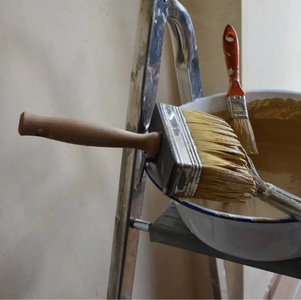 APPLICATION DE LA PEINTURE VEGETALE A LA BROSSE OU ROULEAU DE TERRE DU MONDE A LYON