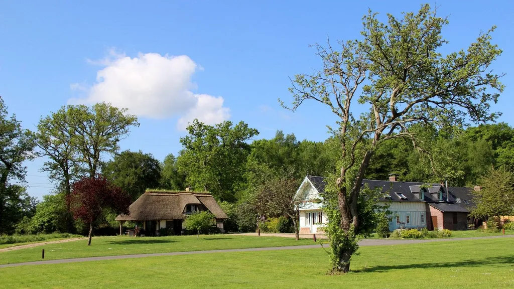 Nos prestations sur le secteur deHoulgate