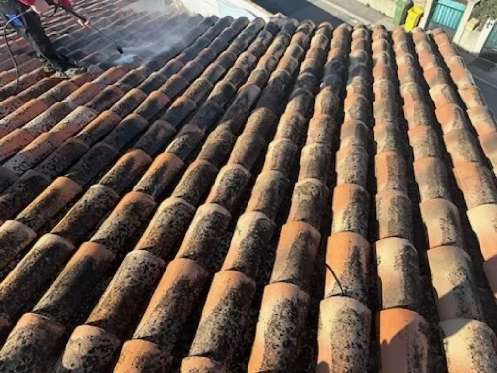 Intervention de couvreur pour un nettoyage de tuiles de toiture de maison près de Martigues 