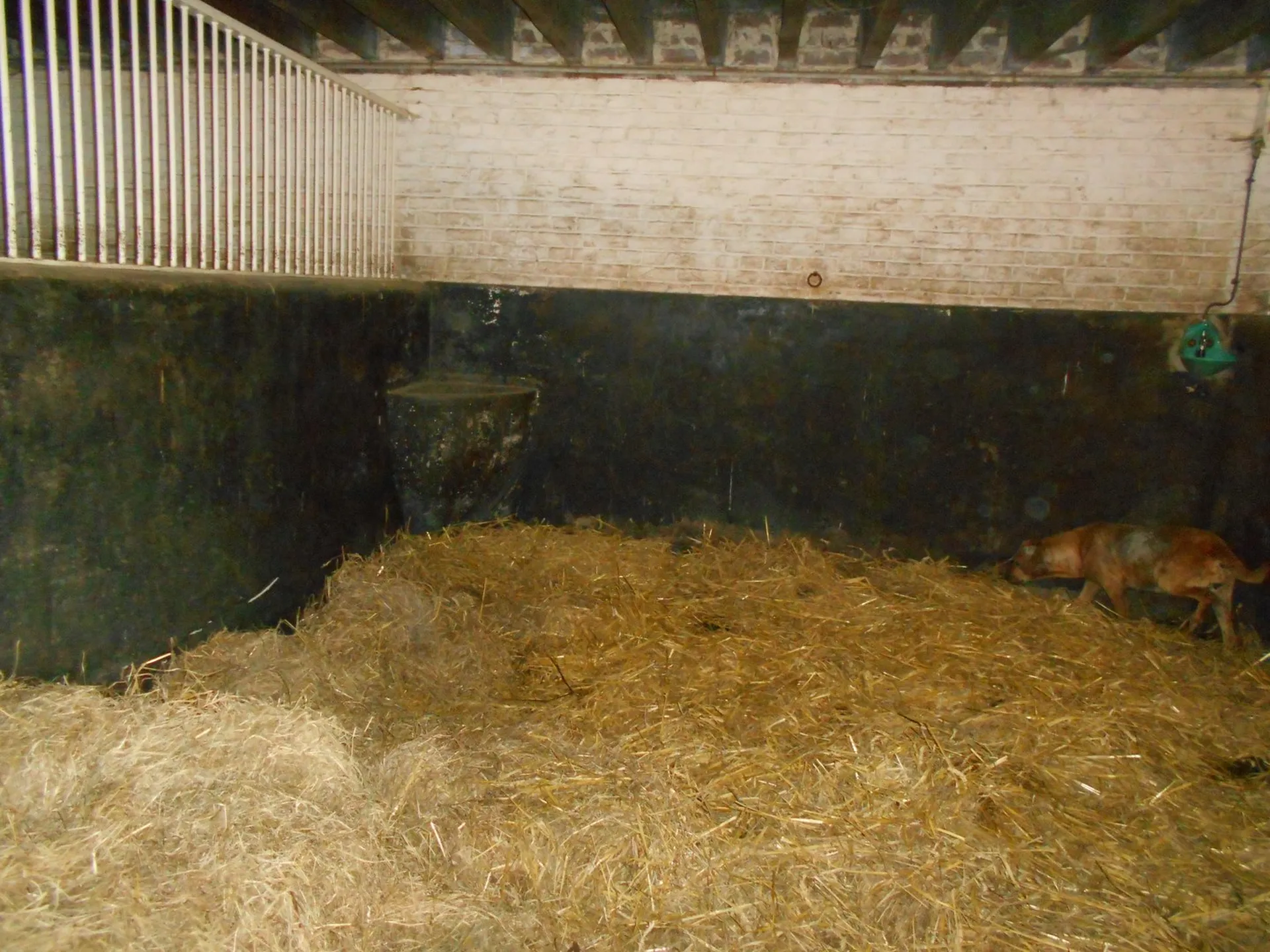 HERBAGE OU PRES A VENDRE DANS LE CALVADOS 14