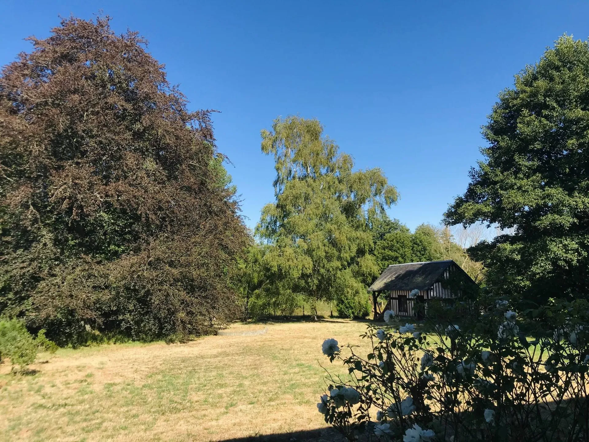 Maison de Maître de 1830 proche LIVAROT