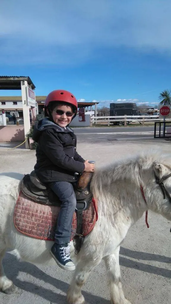 balade a cheval en camargue
