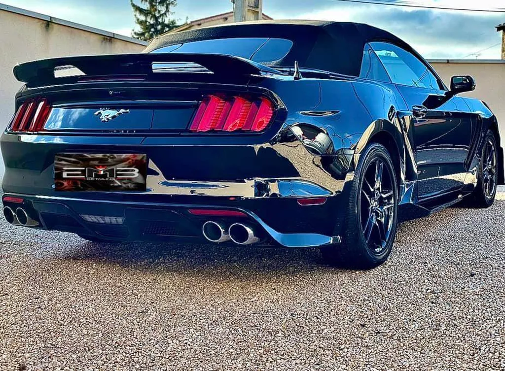 bouclier céramique à Chaponnay