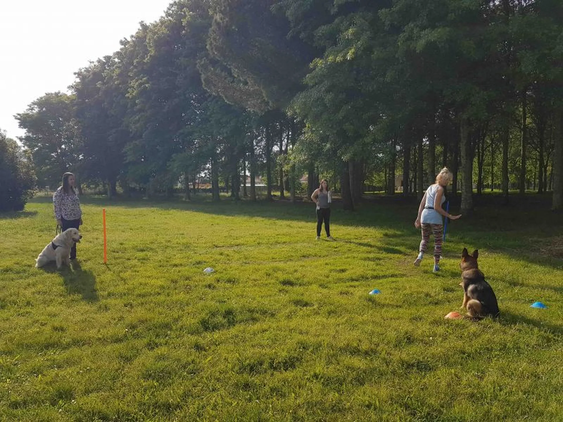 education canine La teste