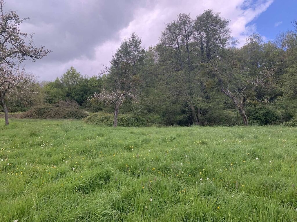 A proximité de VIMOUTIERS 61120 et situé sur le village de CAMEMBERT 61120, l'Agence Immobilière TERRES ET DEMEURES DE NORMANDIE à LISIEUX 14100, 41 Avenue Victor HUGO, vous propose en EXCLUSIVITE ce terrain en nature d'herbage d'une surface de 6ha 3
