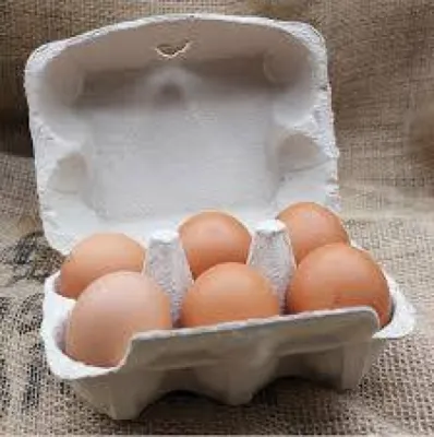 Oeufs bio et locaux livrés tous les Jeudi et toute l'année venant du haut beaujolais à Belleville en beaujolais (69)