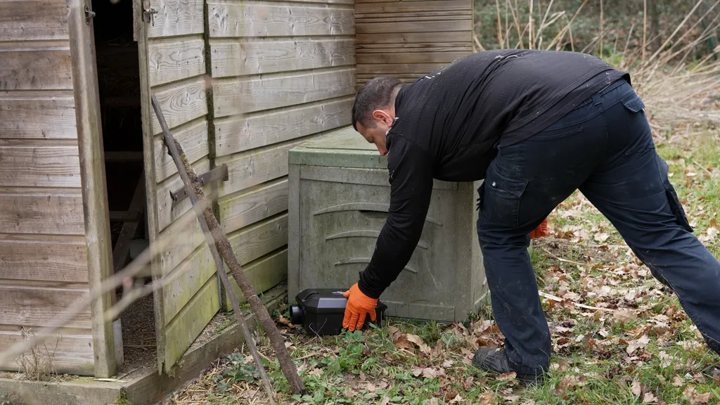 dératisation pour éliminer les rats souris au domicile rapidement à Toulouse