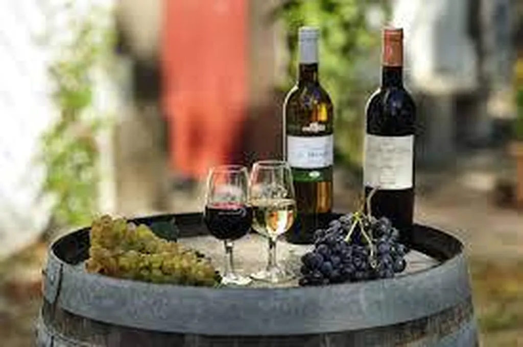 camping le mas de la plage à 800m du domaine Saint Pierre