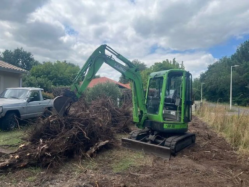 Abattage et arrachage d’une haie de cyprès desséchée à Biscarrosse
