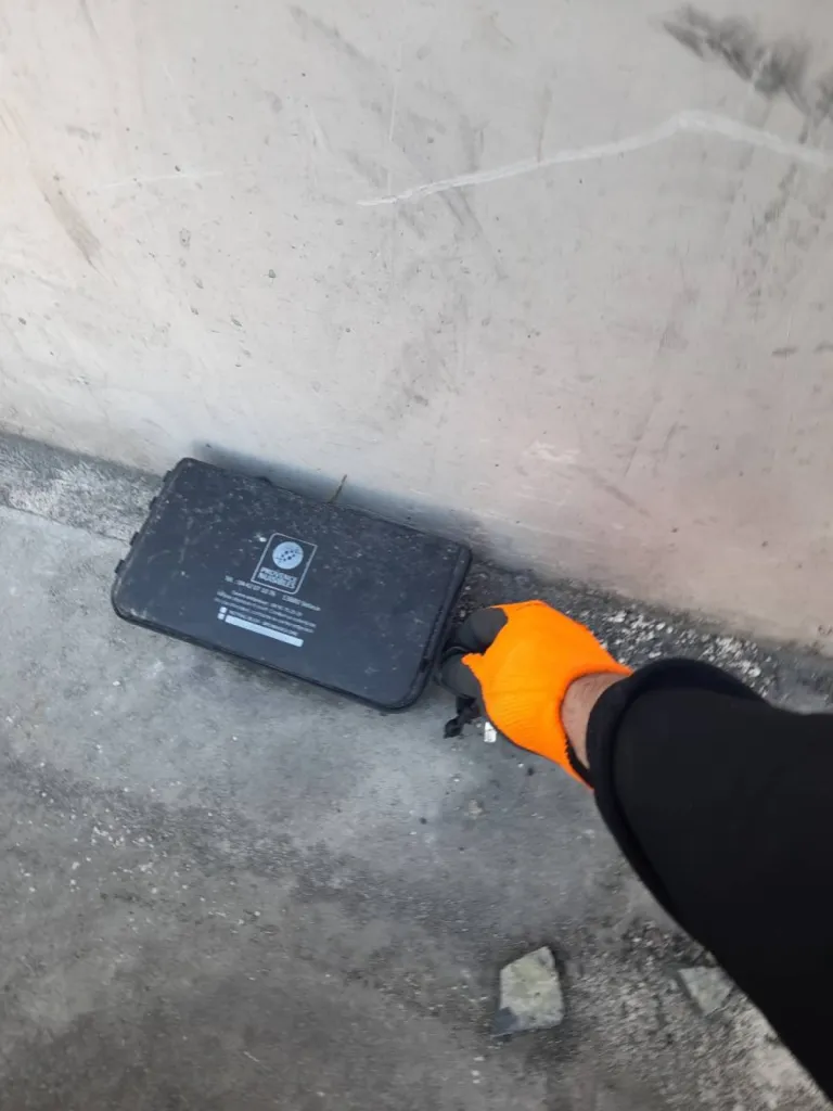 tuer les rats à st chamas