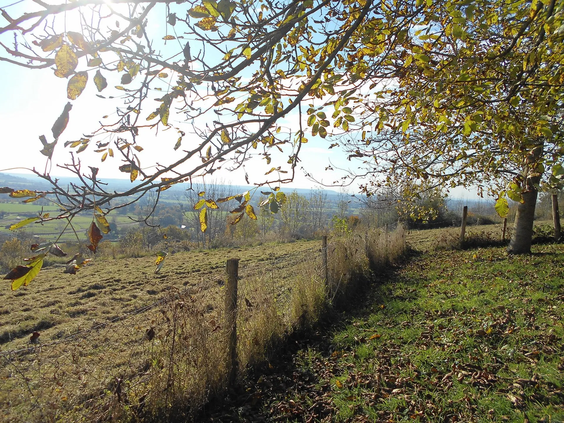 MAISON DE CHARME DANS LA NATURE, PROCHE DEAUVILLE, CALVADOS 14340