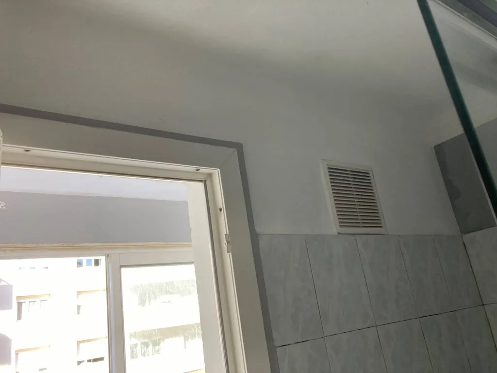 Eliminer les moisissures des murs humides