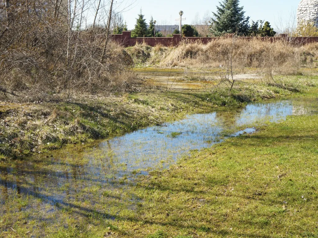 moustiques tigres des piscines et des points d’eau pour limiter leur prolifération à Balma