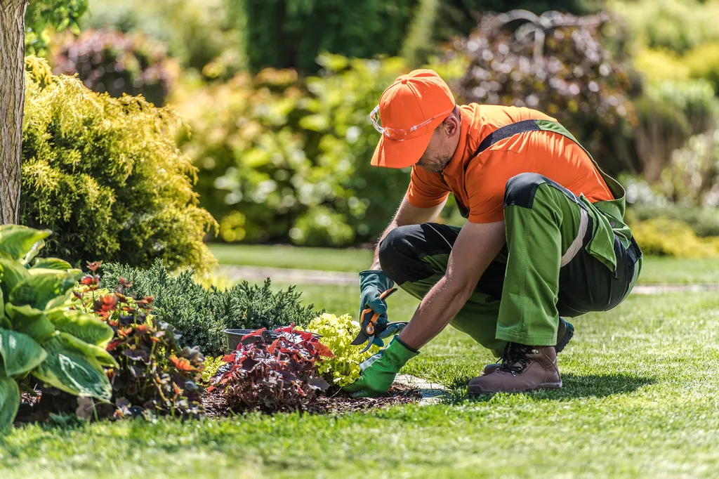 Entretien de jardin au printemps près du Neubourg : les travaux essentiels à réaliser dès le mois de mars