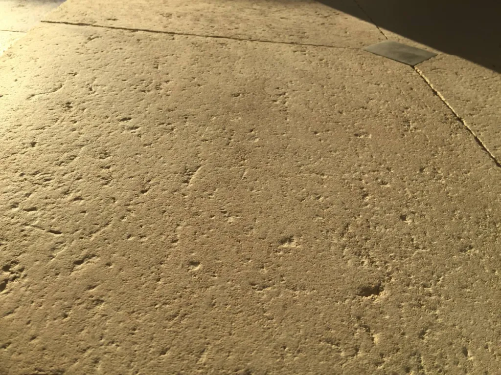 Quelle pierre au 36 rue de Bourgogne choisir pour un carrelage pierre extérieur et intérieur ?