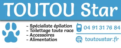 toutou star marseille