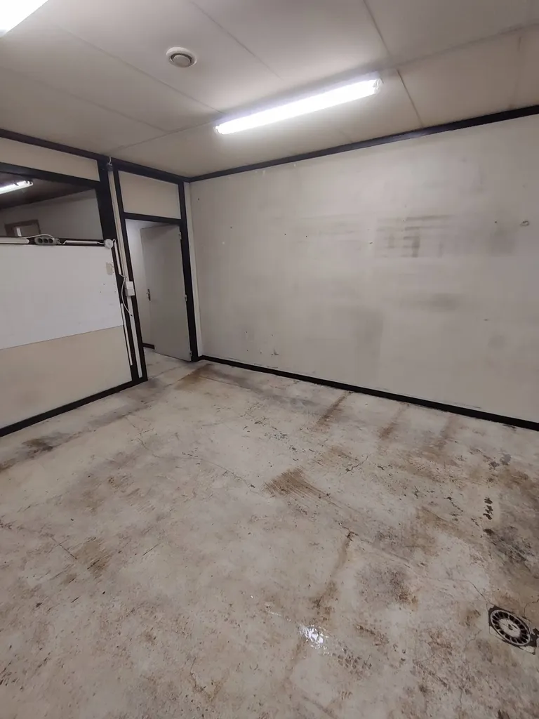 Vider une clinique vétérinaire Opération débarras