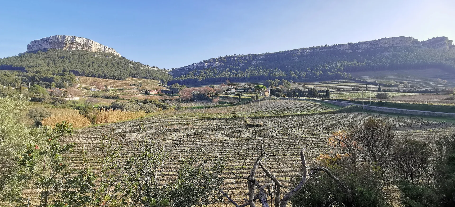 Vue sur les vigne et la couronne de Charlemagne 