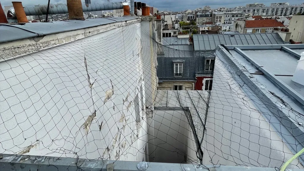 Mise en place d’un filet anti pigeon sur une cour intérieure à Marseille 13008