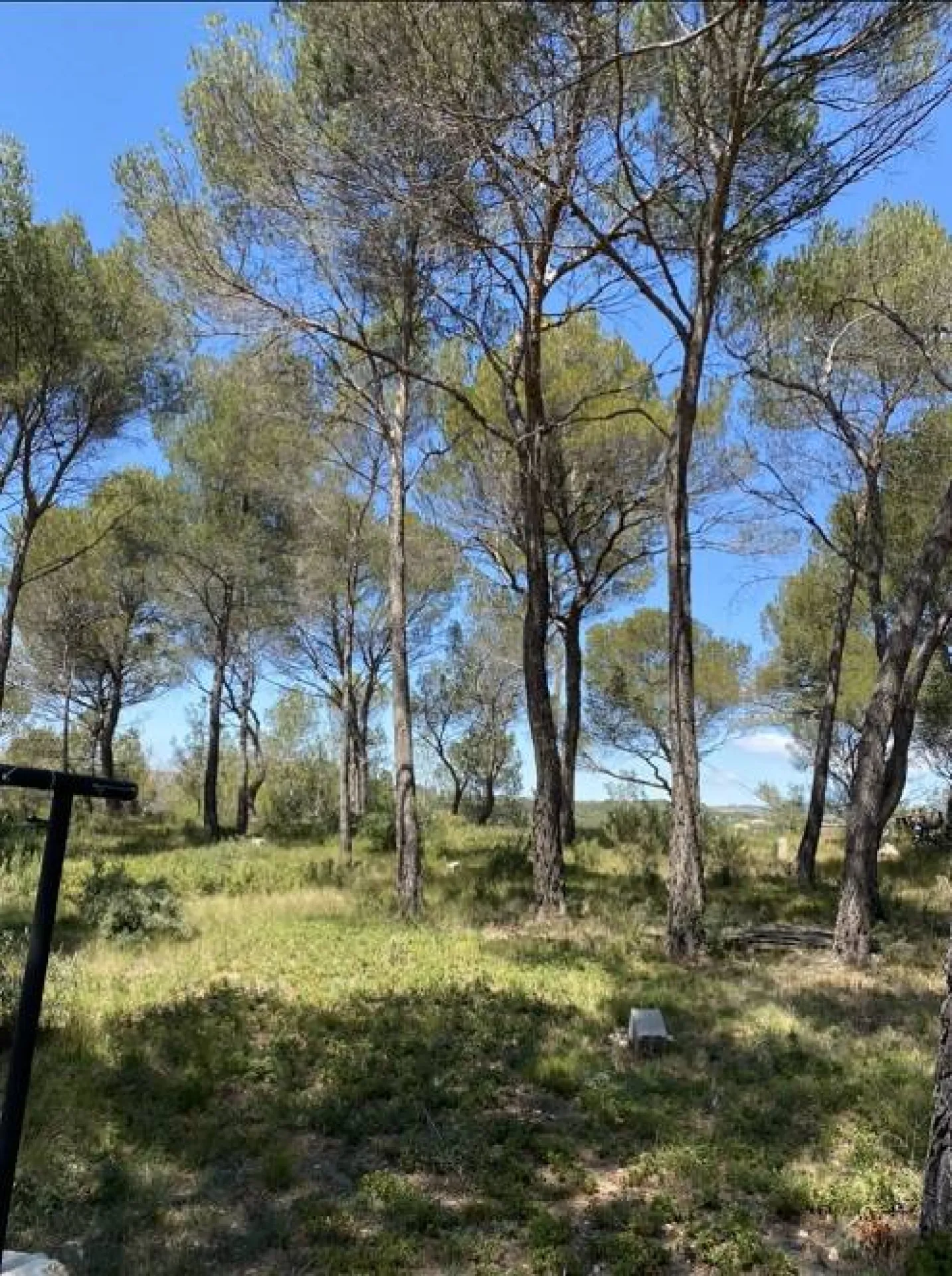 Débroussaillement obligatoire à Ventabren