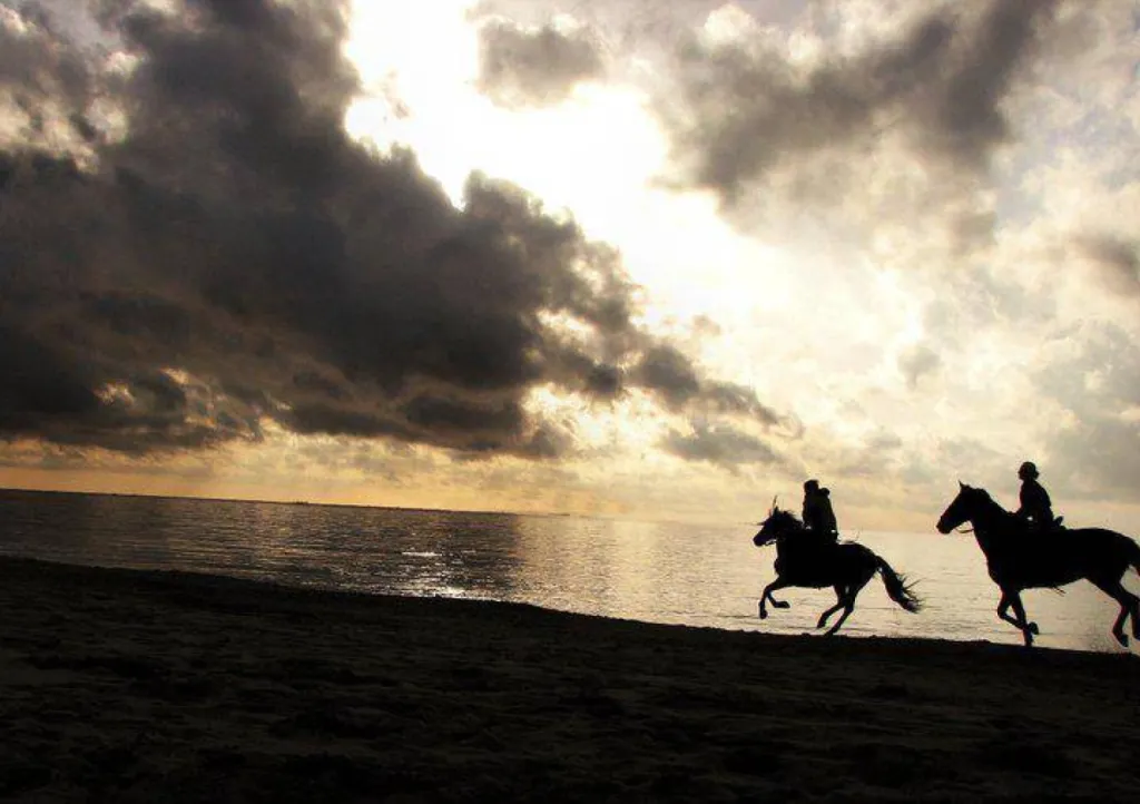 balade à cheval couché du soleil 