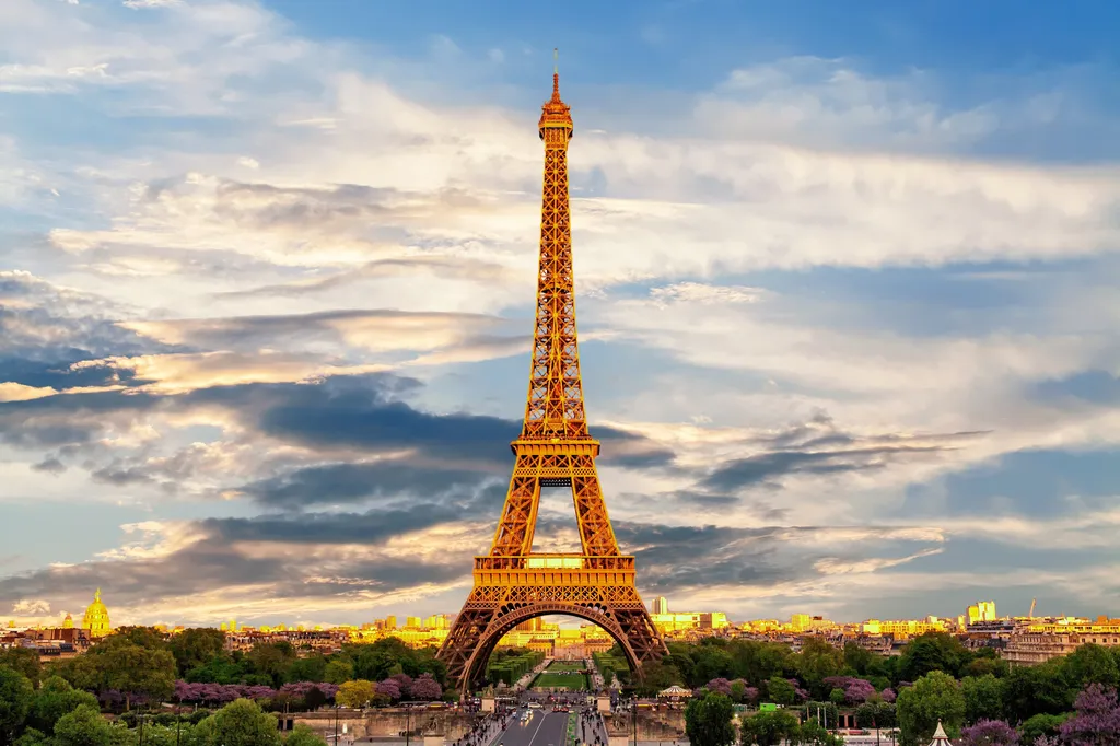 Intervention de Canem Detect à Paris et en Ile-de-France