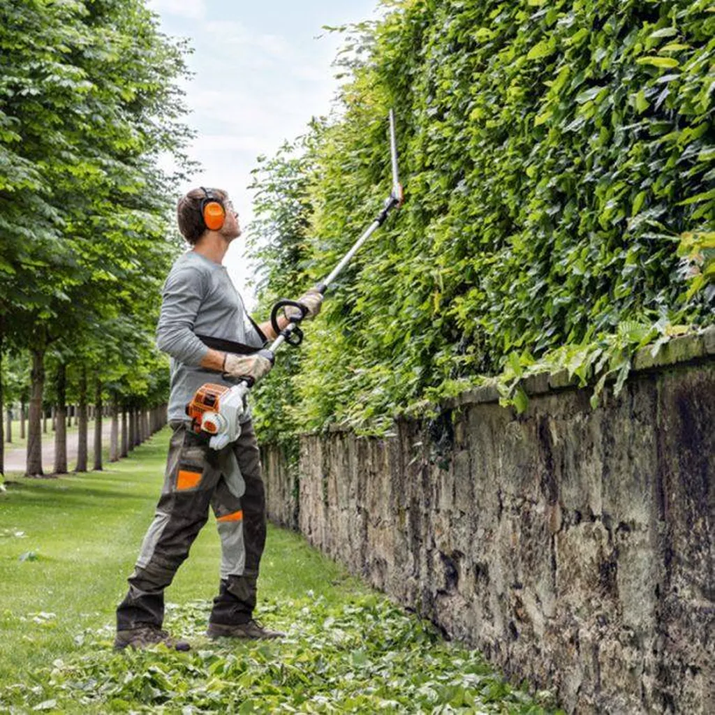 louer taille haies ollioules