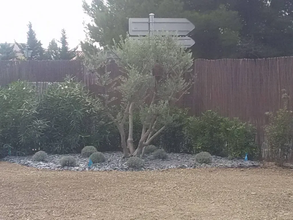 Aménagement massif mediterranéen Saint Chamas 13250