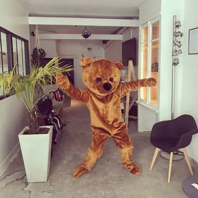 Ou louer des mascottes proche du Havre 76