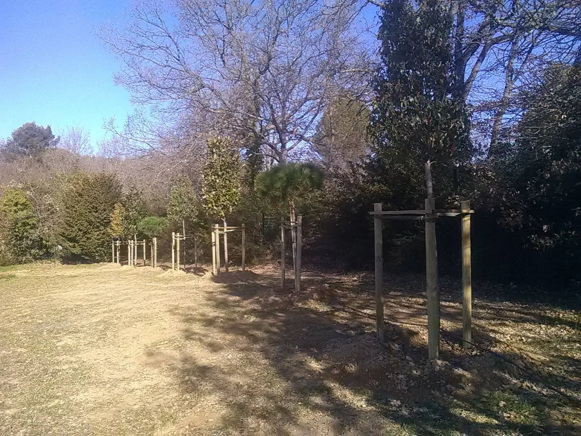 Aménagement extérieur avec plantation de haie Aix en Provence Aménagement extérieur avec plantation de haie Aix en Provence