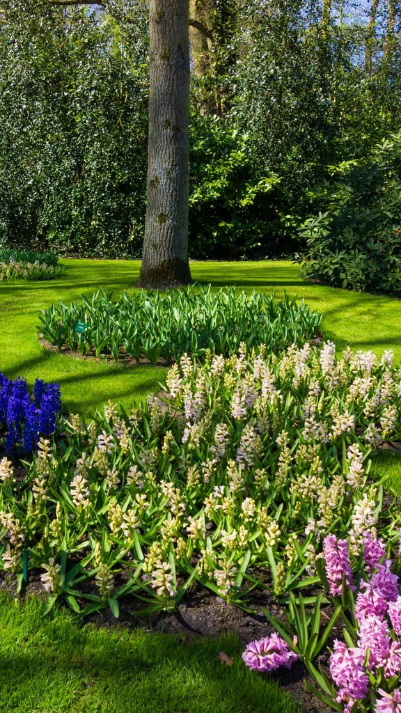 paysagiste à cezac pour entretien de parc et jardin