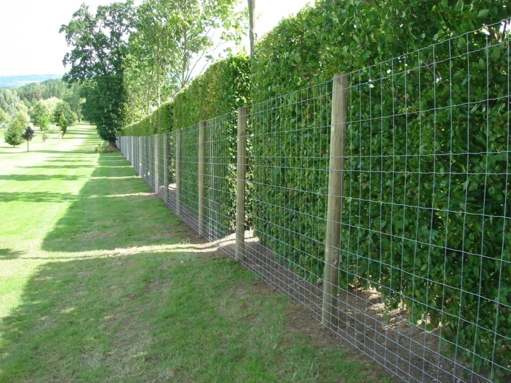 Protection de propriété contre les animaux dans un parc du Calvados 14