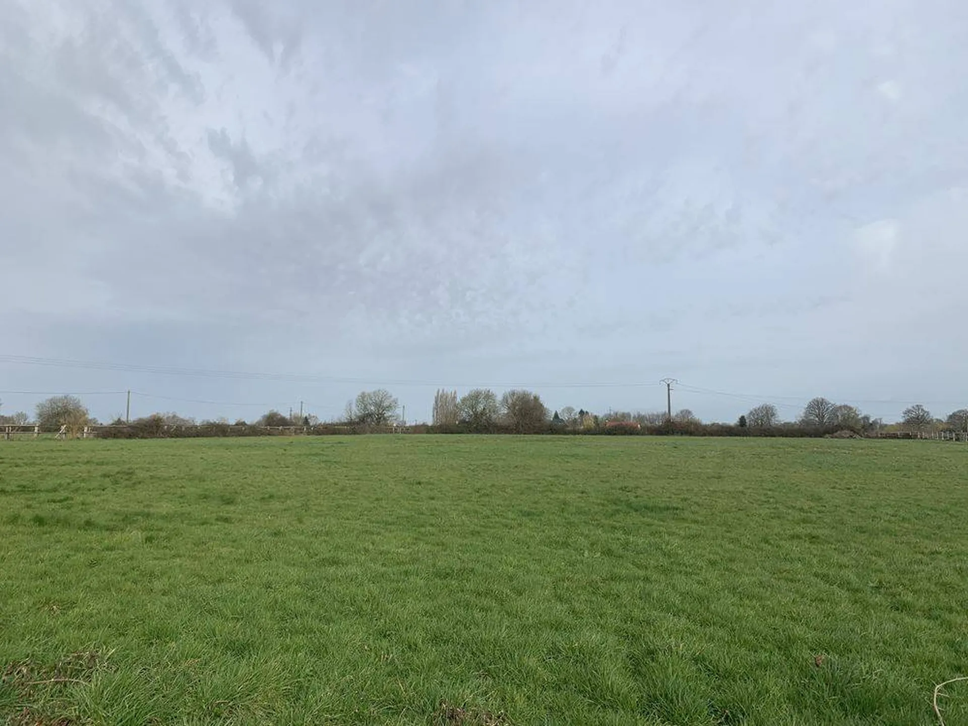 Vente d'une Propriété Équestre avec ses dépendances, édifiées sur 18Ha 30a de terres, à quelques minutes du centre-ville de Moyaux 14590