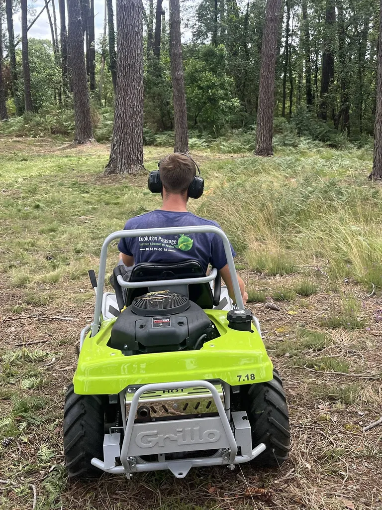 Débroussaillage pas cher de votre terrain pour prévenir les risques d’incendie à Sainte-Eulalie-en-Born