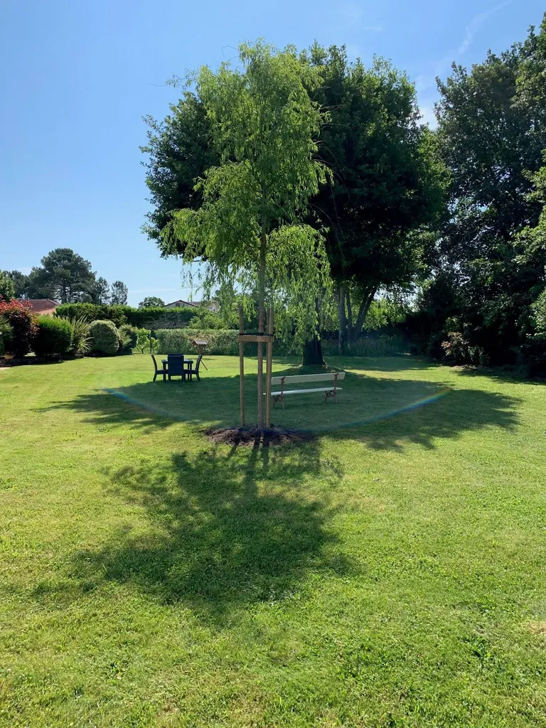 Trouver le meilleur tarif pour la tonte de votre pelouse