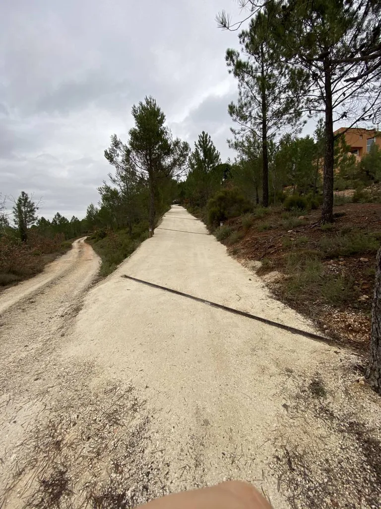 Réalisation d'un chemin d'accès avec la pose de reverdo à Roussillon