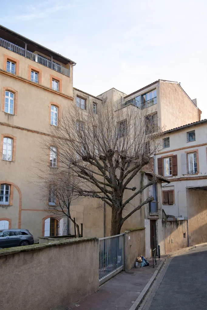 Élagage sévère de tilleul en hyper centre de Toulouse : taille d’arbre sécurisée et entretien espaces verts professionnel