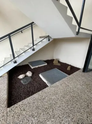 Aménagement paysager à Quissac : plantation de haie, pose de pouzzolane et semis de prairie sèche avec Vert Parc Paysagiste