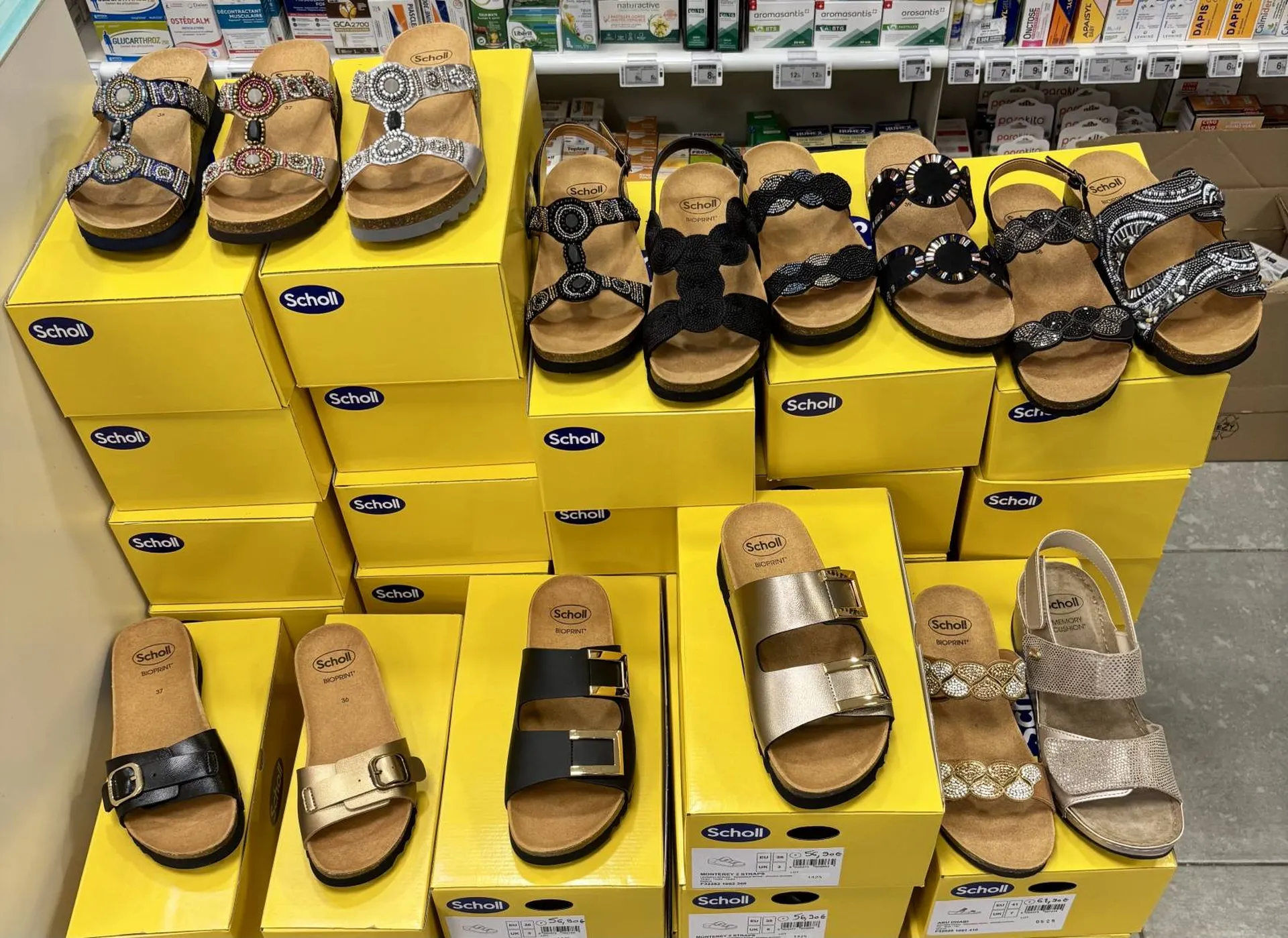 COLLECTION SCHOLL FEMME 2025 PHARMACIE 13012