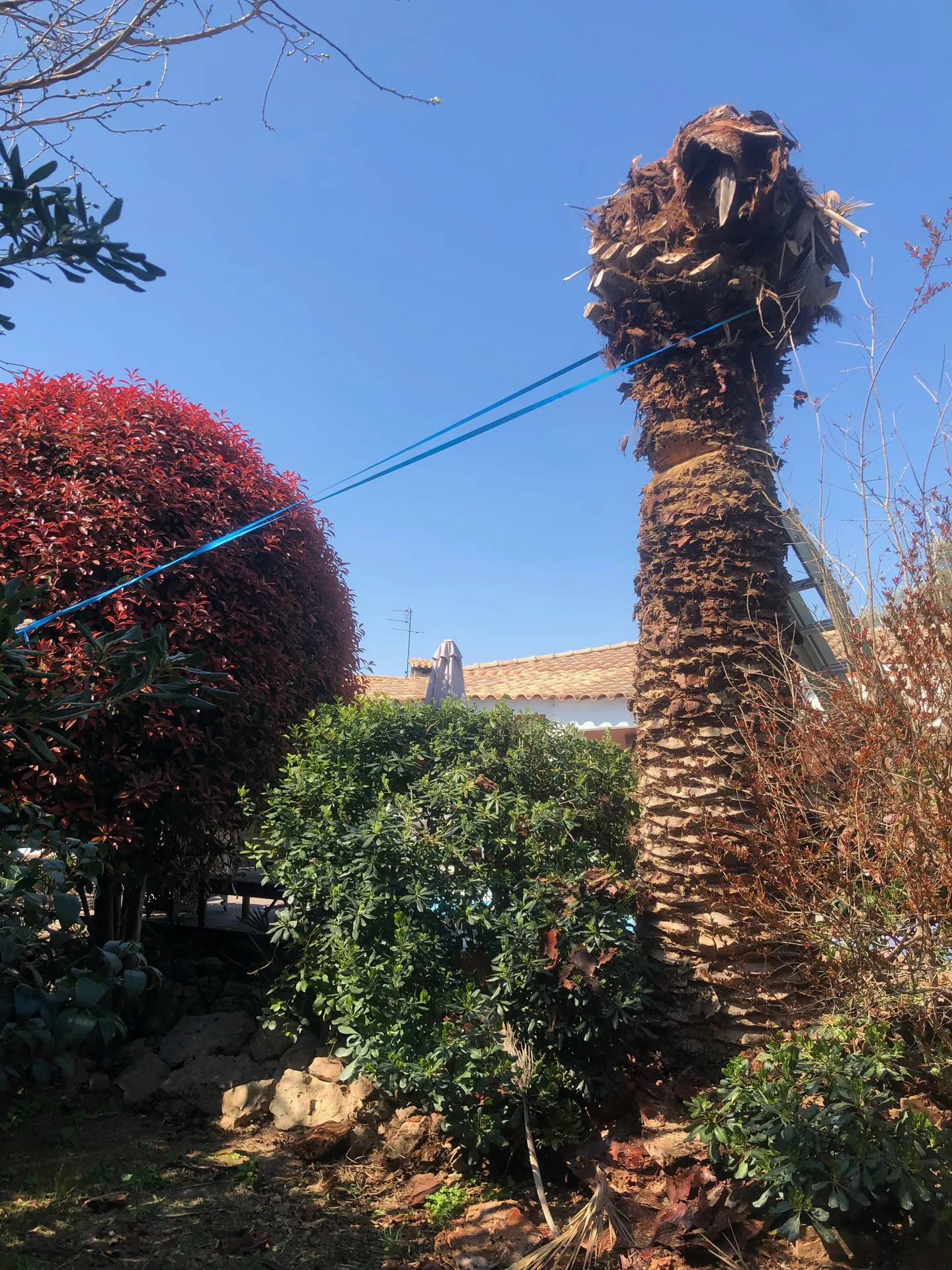 Mise en Sécurité du Phénix pour Abattage