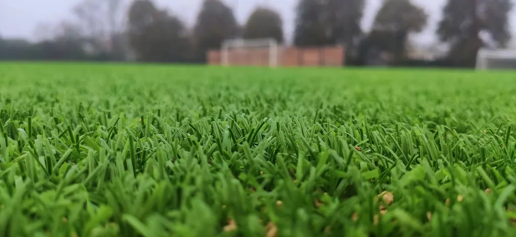 Specialist and expert project manager football playground sports