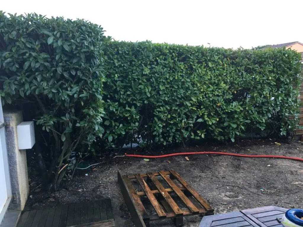 Panneaux en bois pour claustra Eysines